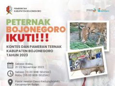 Pemkab Bojonegoro Akan Gelar Kontes dan Pameran Ternak Sapi Fb Img 1700473633822
