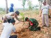 Minimalisir Dampak Pemanasan Global, TNI di Bojonegoro dukung Penghijauan Img 20231117 Wa0036