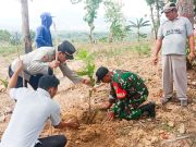 Minimalisir Dampak Pemanasan Global, TNI di Bojonegoro dukung Penghijauan Img 20231117 Wa0036