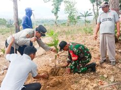 Minimalisir Dampak Pemanasan Global, TNI di Bojonegoro dukung Penghijauan Img 20231117 Wa0036