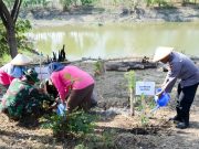 Kodim Bojonegoro Tanam Ribuan Pohon Penghijauan Img 20231124 Wa0030