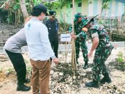 Bersama Elemen Masyarakat, Babinsa Koramil Kalitidu Bojonegoro tanam Pohon Penghijauan Img 20231128 Wa0035