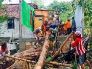 Babinsa Koramil Dander Bojonegoro Bantu Evakuasi Pohon Tumbang Img 20231215 Wa0027 Copy 348x230