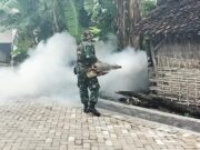 Cegah Penyakit DBD, Babinsa Koramil Sumberrejo Bojonegoro Bantu Fogging Img 20240123 Wa0009