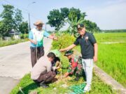 Babinsa Koramil Kapas Bojonegoro dan Pemdes Bendo Tanam Pohon Penghijauan Img 20240126 Wa0023 Copy 501x354