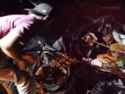 Tabrakan Dum Truk Vs Avanza di Lamongan, Ada Balita Didalam 1707739828372 Copy 319x233