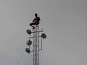 Pemuda Asal Bojonegoro Panjat Tower di Lamongan 1708272831366
