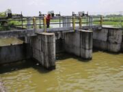 245 Titik Banjir di Surabaya, DSDABM : Segera Dituntaskan Img 1287 715x400