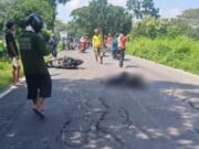 Lagi lagi, Jalan Berlubang di Lamongan Dapat Tumbal 1711145557106 Copy 371x263