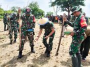 Kodim Bojonegoro Tanam Perdana Jagung Img 20240303 Wa0028 Copy 542x363