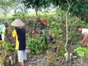 Sambut Ramadhan, Babinsa Koramil Sumberrejo Bojonegoro Lakukan Kerja Bakti Area Makam Bersama Warga Kedungrejo Img 20240310 Wa0005