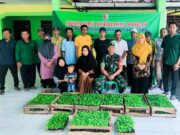 Dukung Ketahanan Pangan, Babinsa Koramil Sumberrejo Bojonegoro Sosialisasikan Gerakan Tanam Cabai Img 20240404 Wa0008