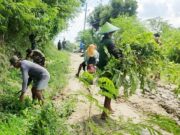 Babinsa Kodim Bojonegoro dan Warga Napis bersih-bersih Jalan Poros Desa Img 20240427 Wa0001