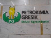 Selain Tidak Dapat BPJS dan di Upah Minimum, Buruh Outsourcing di PT Petrokimia Gresik Cuma Dapat THR Segini Img 20240531 Wa0095