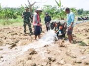Sukseskan Program Pompanisasi Kementan, Babinsa Kodim Bojonegoro Dampingi Petani Mediacahayabaru.id Orbitnasional.com 52
