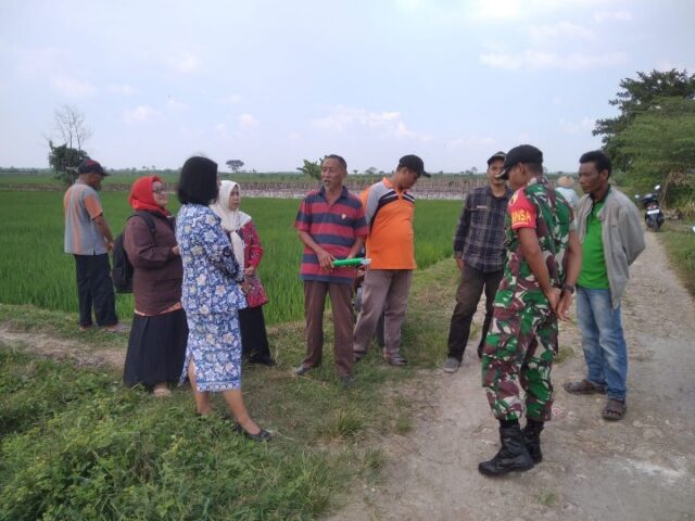 Mediacahayabaru.id Orbitnasional.com 80