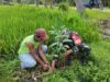 TNI dan Polri Tanam Pohon di Desa Jatigede Sumberrejo Bojonegoro Mediacahayabaru.id Orbitnasional.com 29