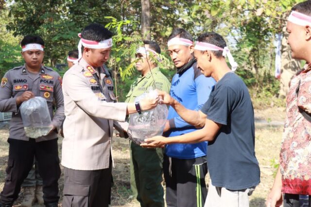 Mediacahayabaru.id Orbitnasional.com 31
