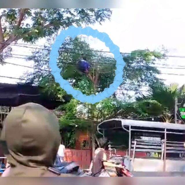 Mediacahayabaru.id Orbitnasional.com 19