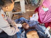 Pria Asal Desa Bubulan Ditemukan Warga Gantung Diri Mediacahayabaru.id Orbitnasional.com 25