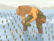 Dinas Pertanian Tuban Tingkatkan Visi dan Misi Menuju Petani Milenial Yang Bermartabat dan Multitalenta Mediacahayabaru.id Orbitnasional.com 52