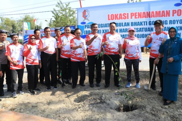 Mediacahayabaru.id Orbitnasional.com Bojonegorotimes.id 105