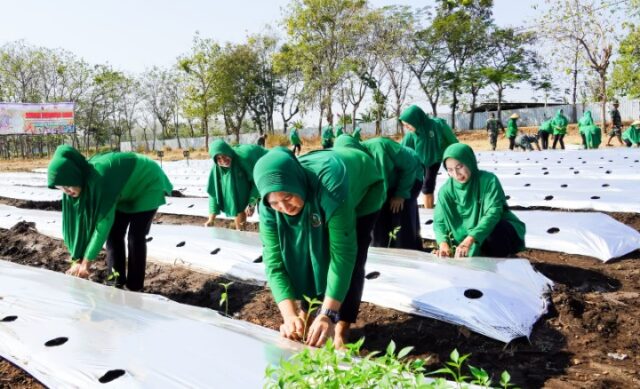 Mediacahayabaru.id Orbitnasional.com Bojonegorotimes.id 5