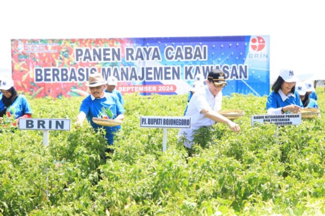 Mediacahayabaru.id Orbitnasional.com Bojonegorotimes.id 76