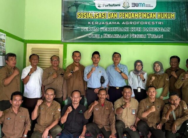 Mediacahayabaru.id Orbitnasional.com Bojonegorotimes.id 117