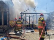 Si Jago Merah Ngamuk, Rumah Warga Margomulyo Balen Ludes Mediacahayabaru.id Orbitnasional.com Bojonegorotimes.id 176