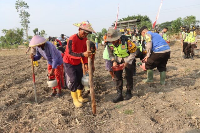 Mediacahayabaru.id Orbitnasional.com Bojonegorotimes.id 38
