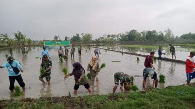 Mediacahayabaru.id Orbitnasional.com Bojonegorotimes.id Amunisinews.id 17