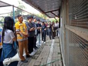 Puluhan Mahasiswa Singapura Datang ke Surabaya Img 20250114 Wa0026