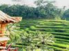 Pengenalan Ubud: Destinasi Wisata Tenang di Bali Img 20250130 Wa0005