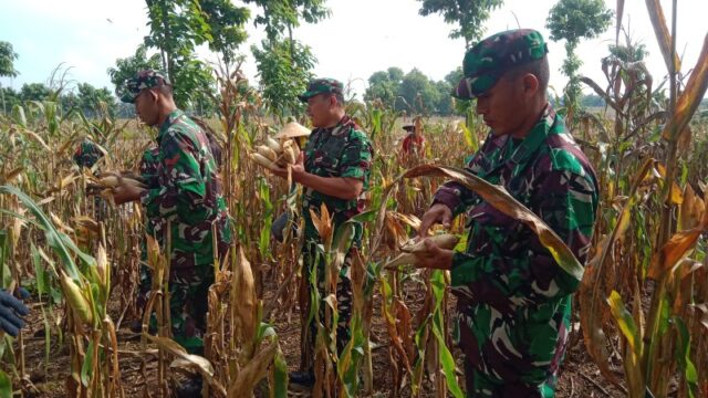 Mediacahayabaru.id Orbitnasional.com Bojonegorotimes.id Amunisinews.id 194