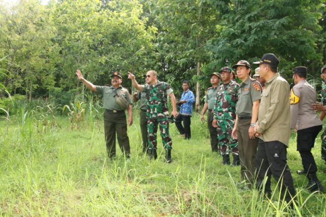 Mediacahayabaru.id Orbitnasional.com Bojonegorotimes.id Amunisinews.id 196
