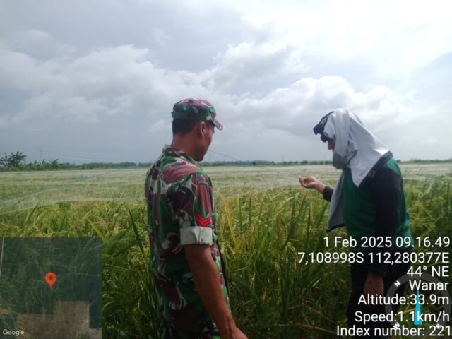 Img 20250202 Wa0021