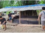 Polres Nganjuk Gerebek Lokasi Sabung Ayam di Lengkong Img 20250203 Wa0026