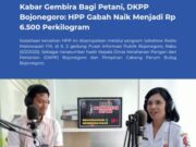 Petani Bojonegoro Harus Tau, Harga Gabah Naik Rp 6.500 per Kilo Img 20250206 Wa0038