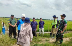 Sinergi bersama PLN, Program Listrik Masuk Pertanian Lamongan Img 20250212 Wa0024