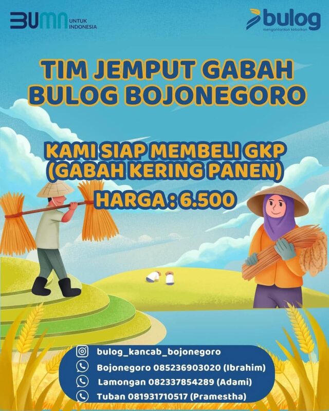 IMG-20250212-WA0028 Img 20250212 Wa0028