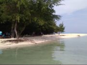 Keunikan Pulau Geleang, Surga bagi Penyuka Snorkeling dan Menyelam Img 20250222 Wa0077