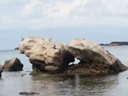 Wisata ke Pantai Batu Putih Karimunjawa Img 20250222 Wa0084