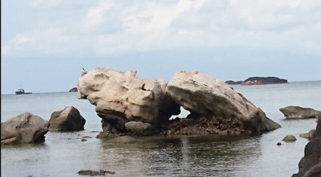 Img 20250222 Wa0084