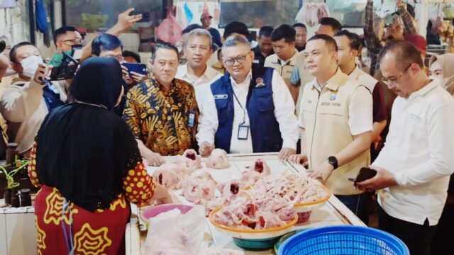 Img 20250301 Wa0032
