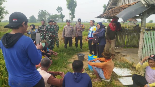 IMG-20250302-WA0008 Img 20250302 Wa0008