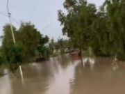 Ribuan Rumah di Gresik Terendam Banjir Akibat Luapan Bengawan Solo Img 20250303 Wa0041