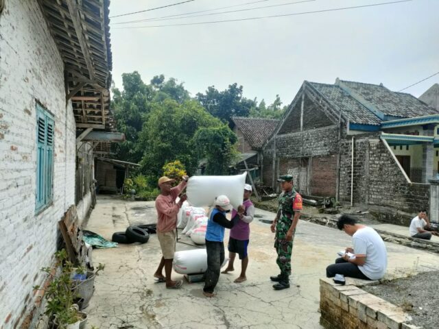 Img 20250305 wa0012