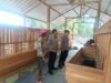 Kapolsek Dander Mengunjungi Peternak Kambing di Desa Sumberagung Dander Img 20250317 wa0013