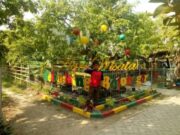 Liburan ke Agrowisata Bojonegoro, Nikmati Sensasi Petualangannya Img 20250402 wa0032